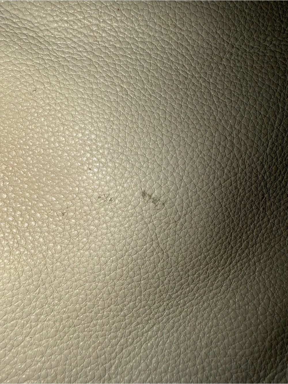 The Sak compact leather